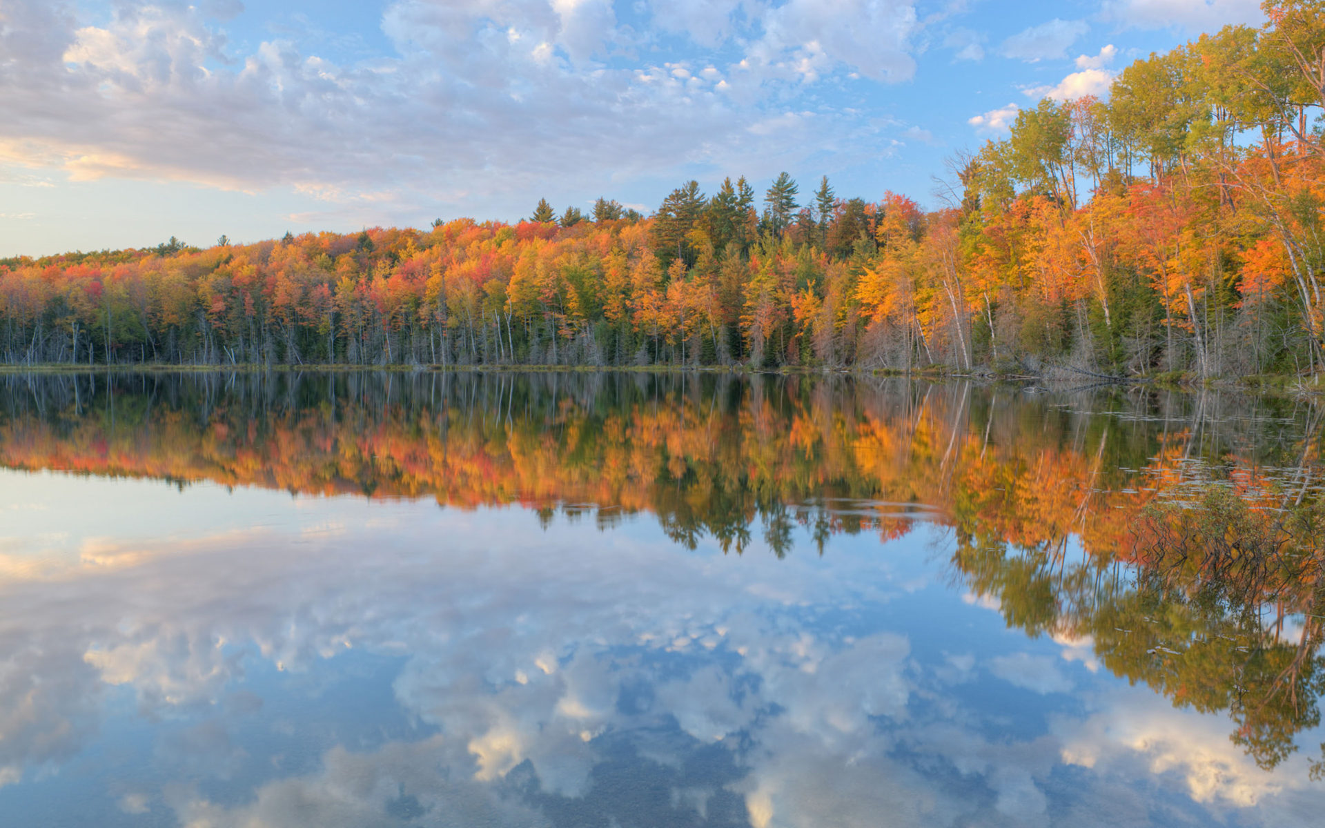 Autumn Scout Lake Michigan's Upper Peninsula Usa Autumn Colored Trees With Yellow And Red Leaves Beautiful Clouds Reflection In Calm Lake Water Foto Landscape Wallpaper HD, Wallpaper13.com