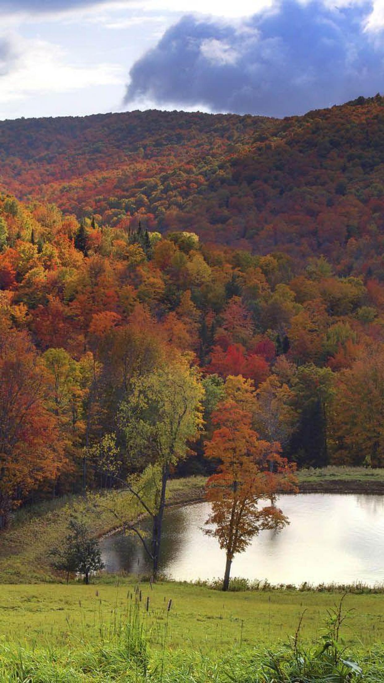 Free download USA Vermont in autumn Autumn Lake Nature Valley Vermont [1242x2208] for your Desktop, Mobile & Tablet. Explore Vermont Wallpaper. Vermont Wallpaper, Vermont Autumn Wallpaper, Vermont Autumn Background Wallpaper