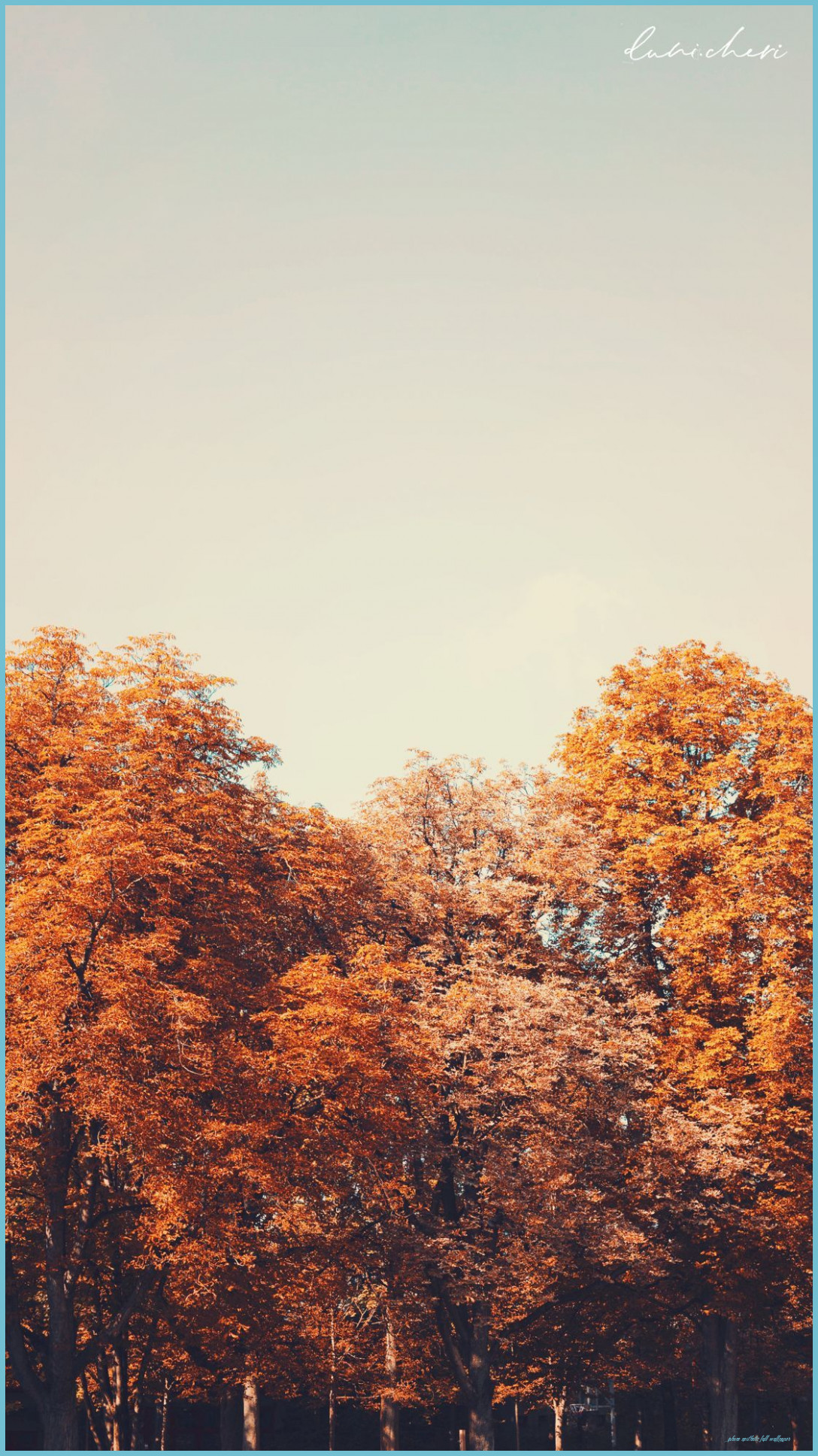 Free Download: Autumn Wallpaper ♥ Desktop & Mobile #Autumn Aesthetic Fall Wallpaper