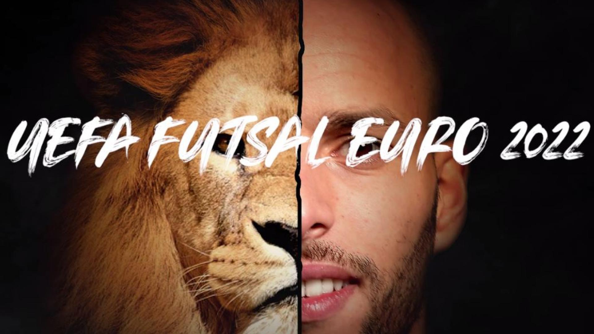 Free download KNVB official candidate for UEFA Futsal Euro 2022 KNVB [1920x1080] for your Desktop, Mobile & Tablet. Explore KNVB Background. KNVB Background