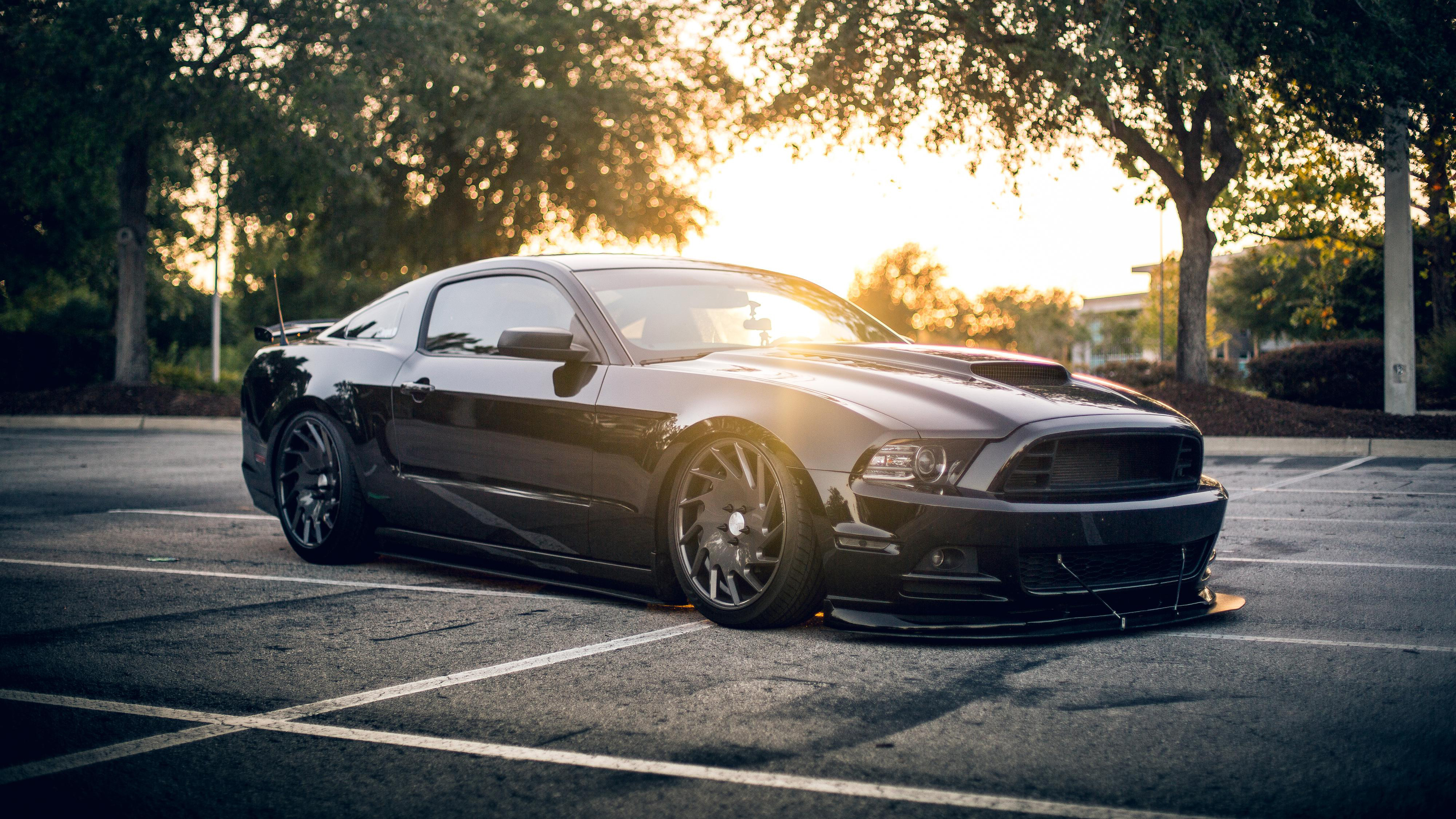 Black Mustang Wallpaper