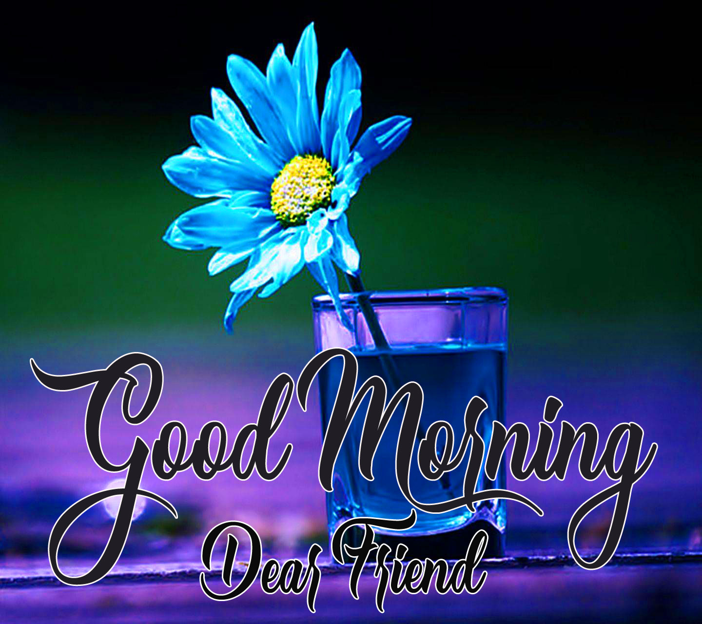 good morning have a nice day image download