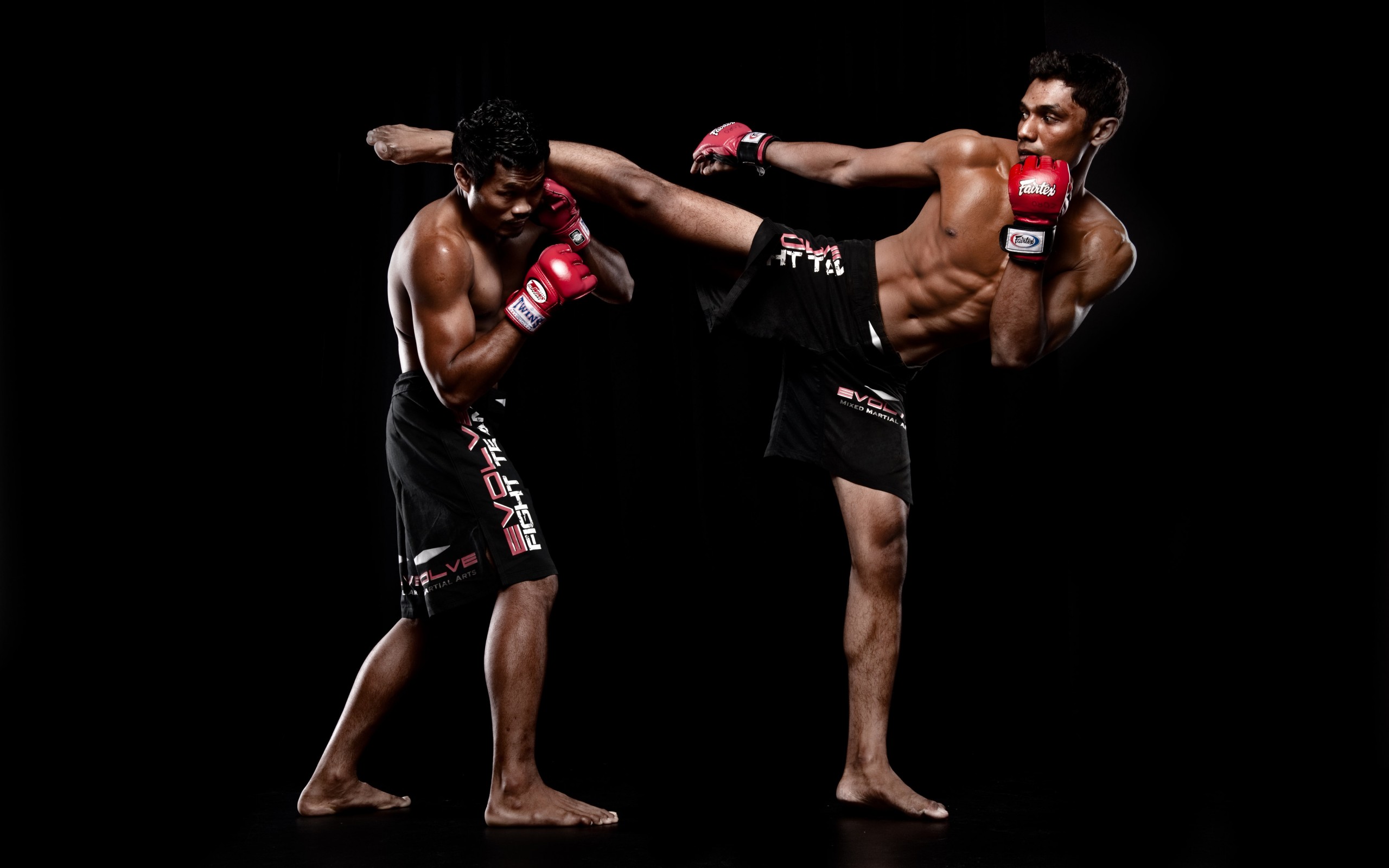Android Wallpaper Martial Art