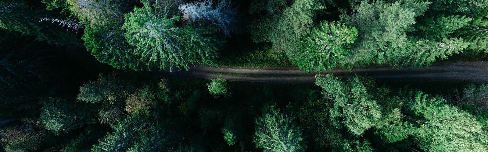 Website Background best free website, background, color and pattern photo