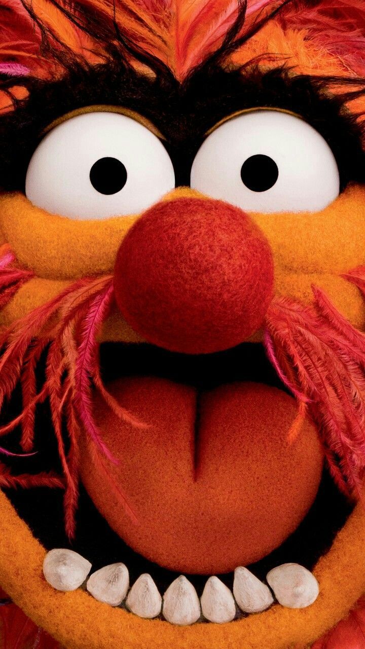 The Muppets Animal go wallpaper. Animal muppet, Muppets, The muppets characters