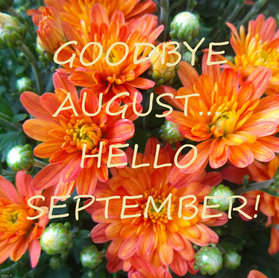 Download Bye August Hello September Wallpaper