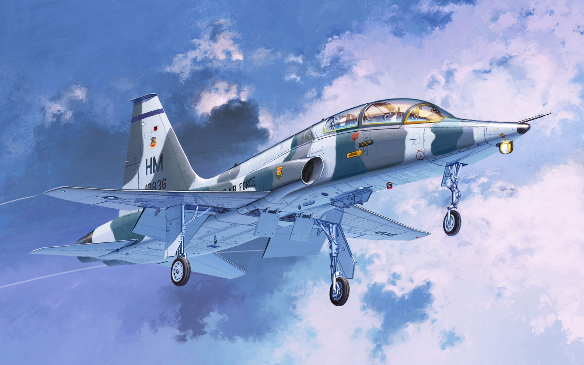 Download Wallpaper Northrop T 38 Talon, American Jet Trainer, AT 38B Talon, US Air Force, American Aircraft For Desktop With Resolution 1920x1200. High Quality HD Picture Wallpaper