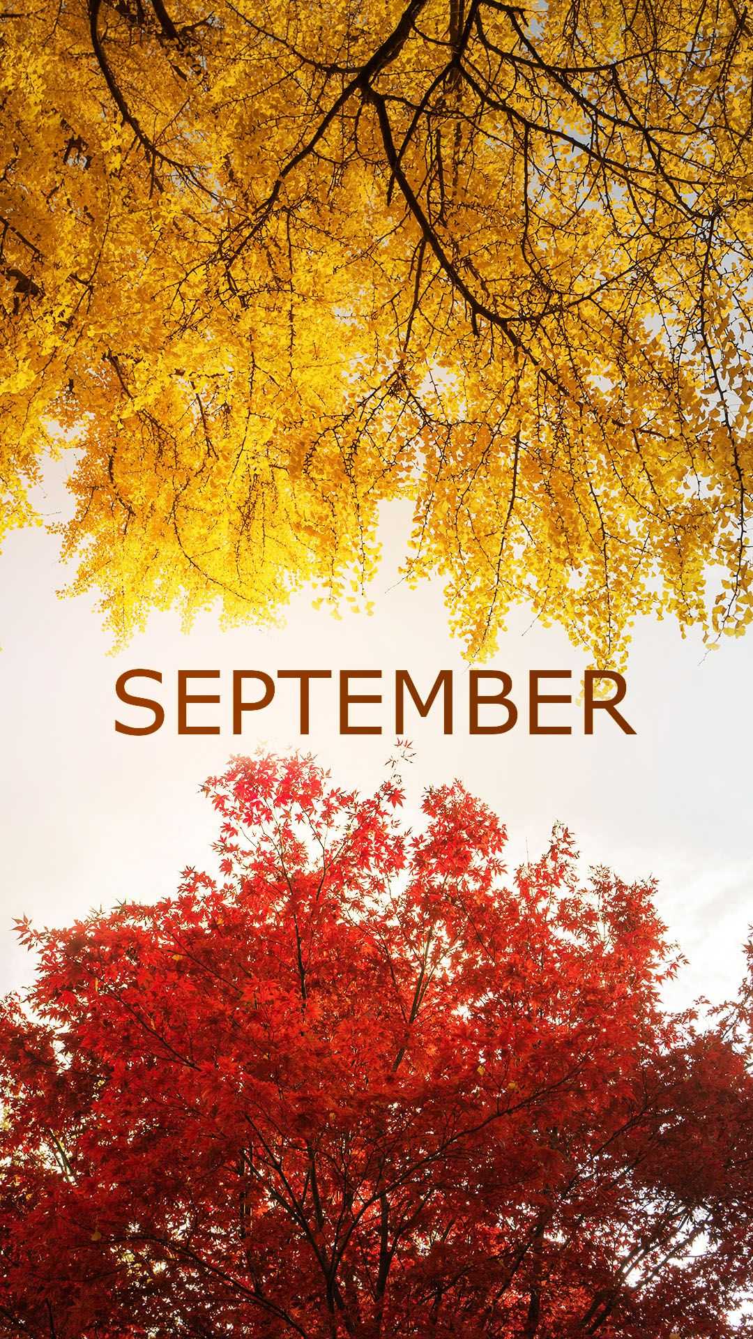 Hello September Wallpaper