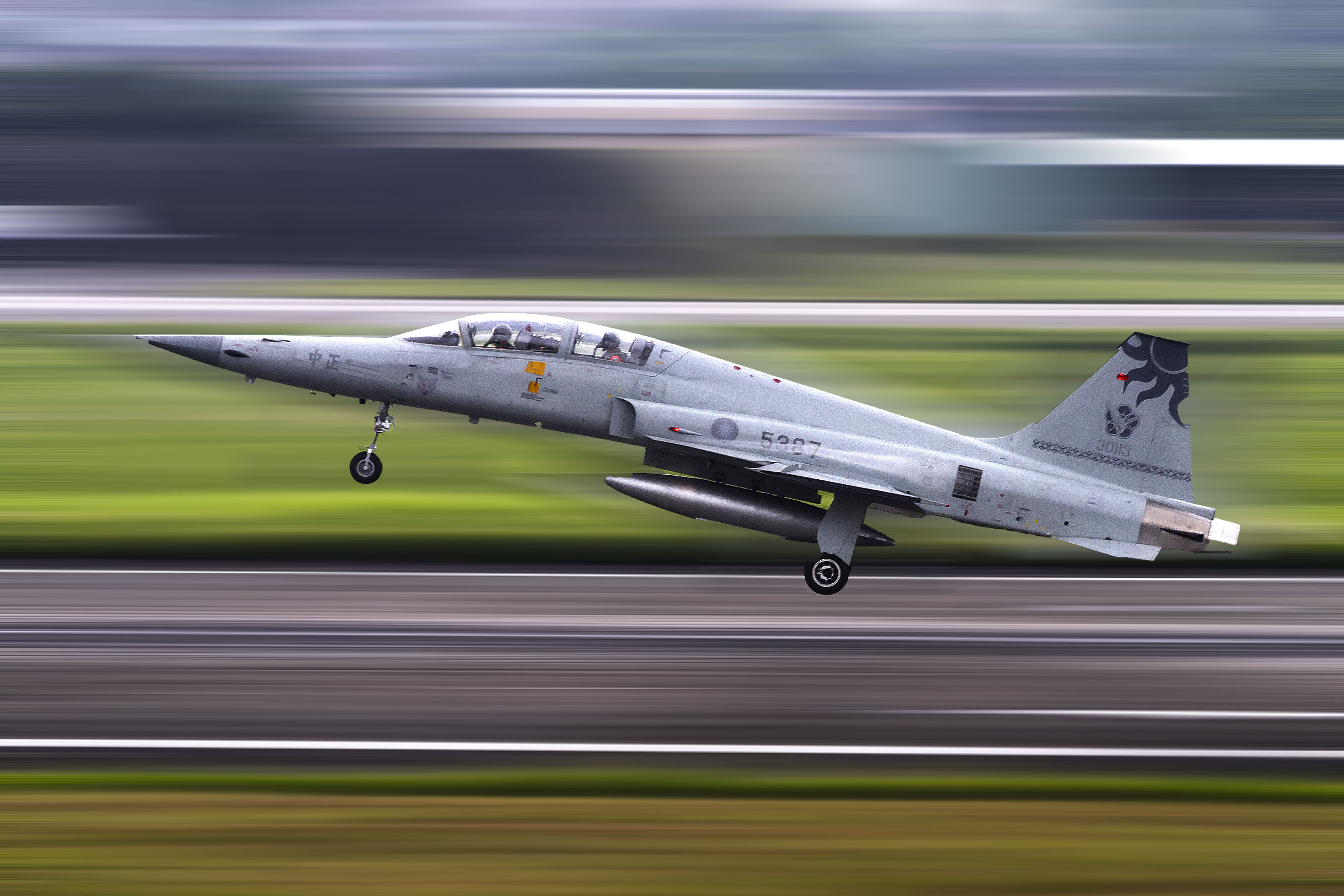 Wallpaper, airplane, tiger, military aircraft, landing, Taiwan, air force, Flight, Takeoff, Northrop F 5, aeroplane, aviation, fighter aircraft, aerospace engineering, jet aircraft, mcdonnell douglas fa 18 hornet, trainer, boeing fa 18e