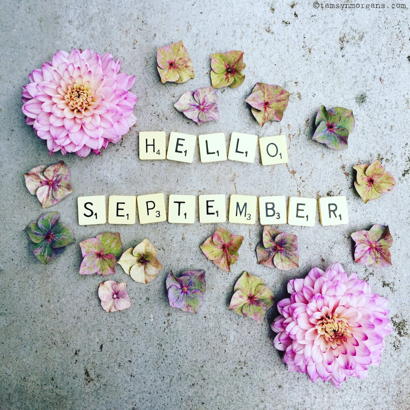 Hello September!. Décoration Flamin' Zone du CDI. Hello september, September image, Hello september image