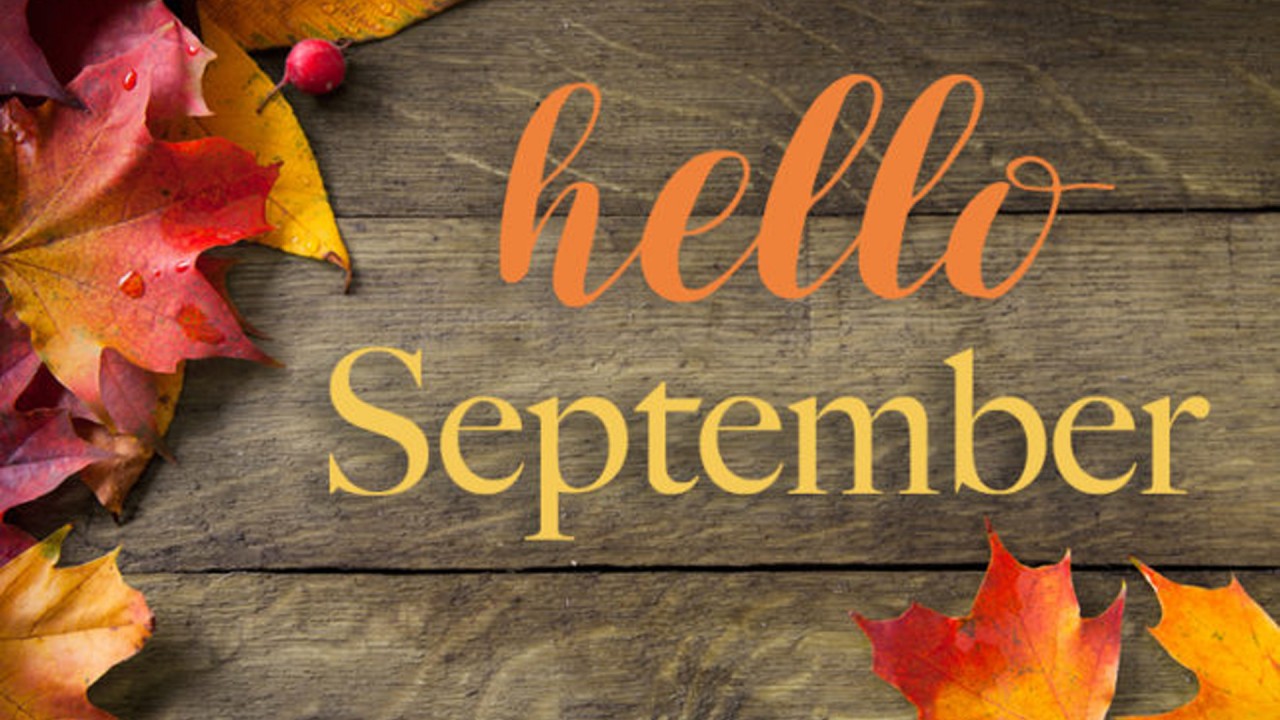 Hello September Word With Colorful Autumn Leaves In Wood Background HD September Wallpaper