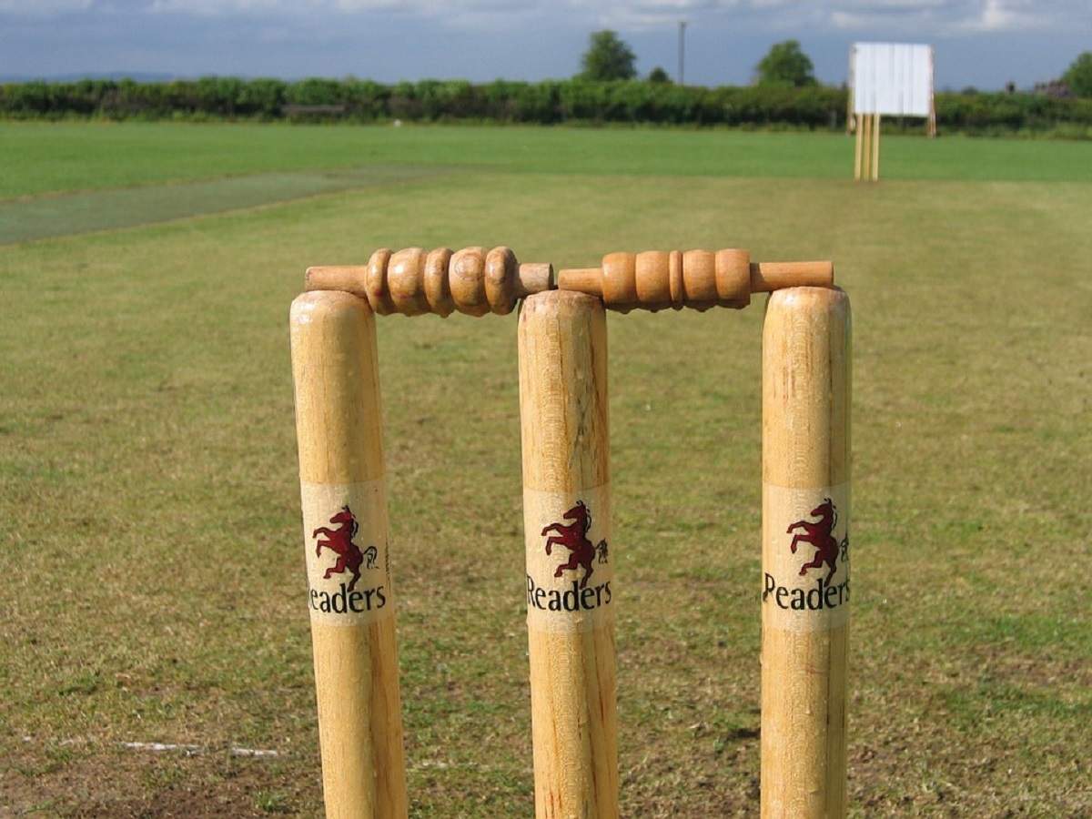 Top Notch Cricket Bails For Casual And Professional Gameplay. Most Searched Products Of India