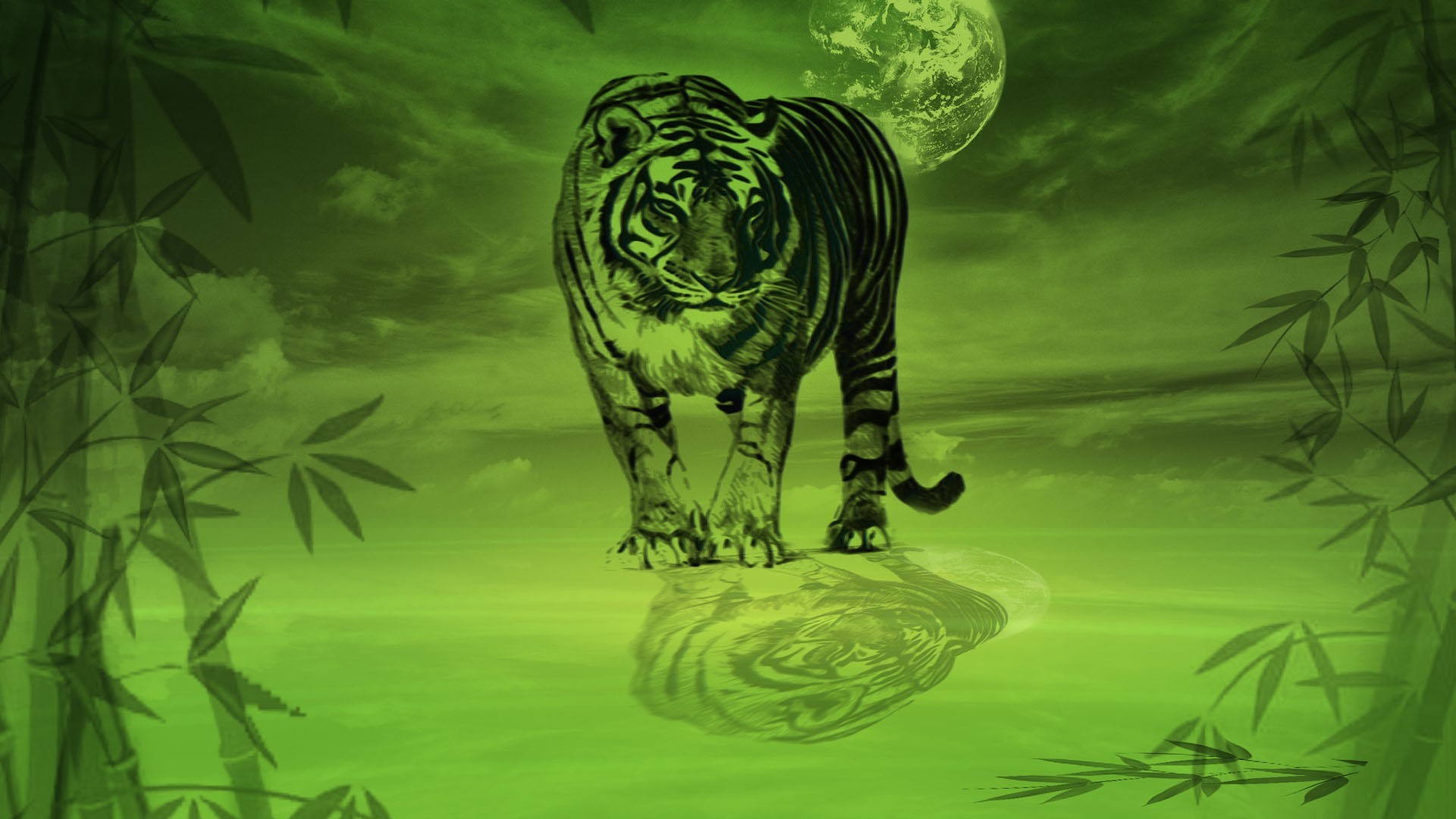 big Cats, Tiger, Nature, Bamboo, Reflection, Green Wallpaper HD / Desktop and Mobile Background