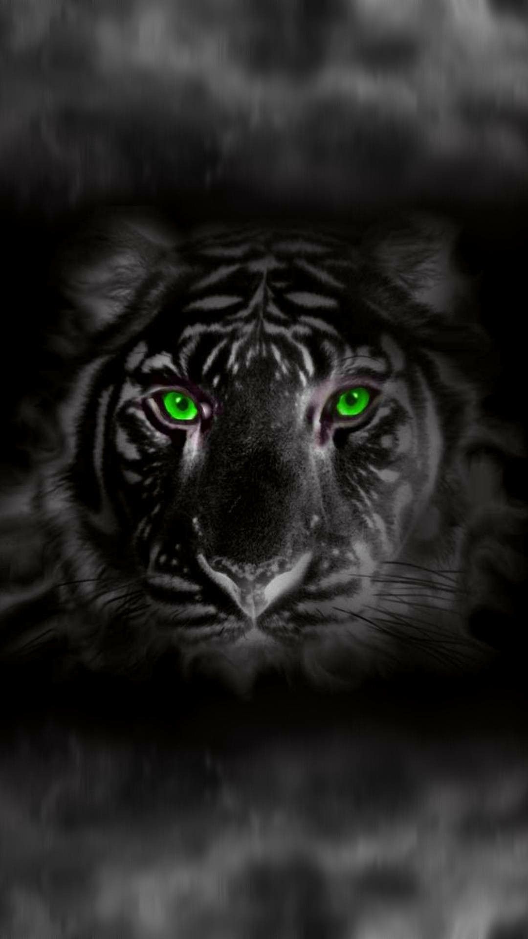 Free download White tiger with green eyes Big cats Black tigers Animals [1080x1920] for your Desktop, Mobile & Tablet. Explore Green Eye Wallpaper. Green Eye Wallpaper, Eye Wallpaper, Septic Eye Wallpaper