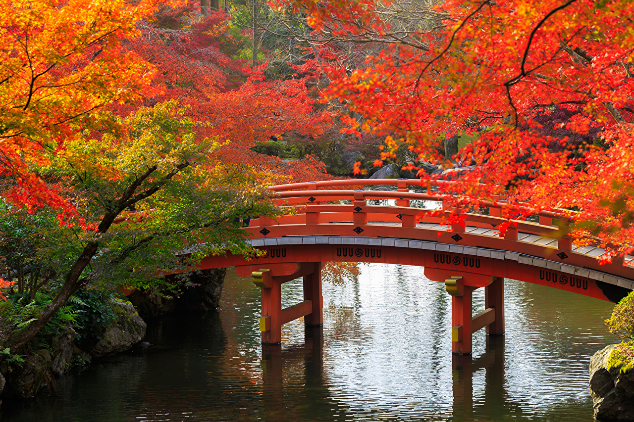 Picture Kyoto Japan Autumn bridge Nature Pond Gardens Branches
