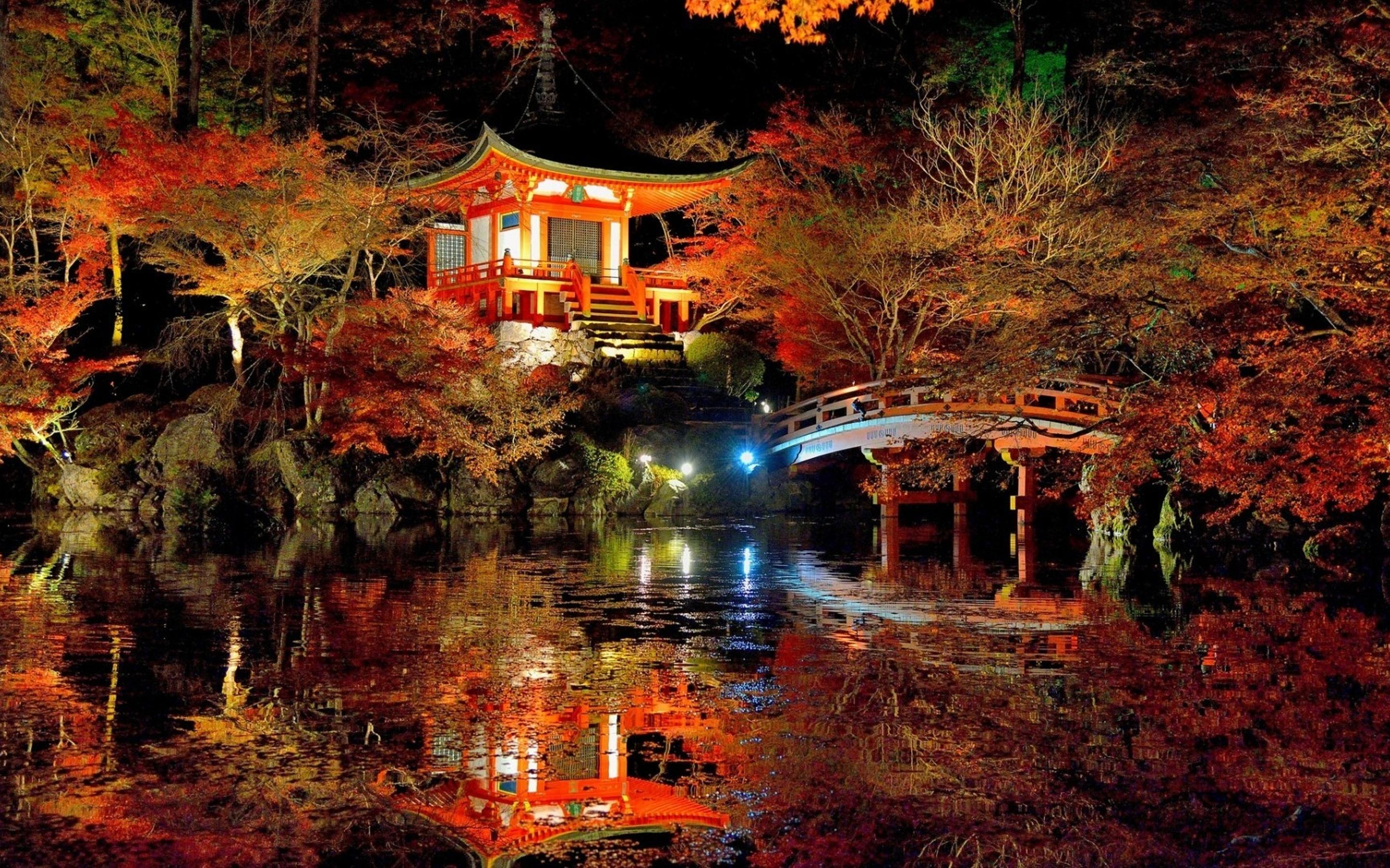 An amazing japanese garden