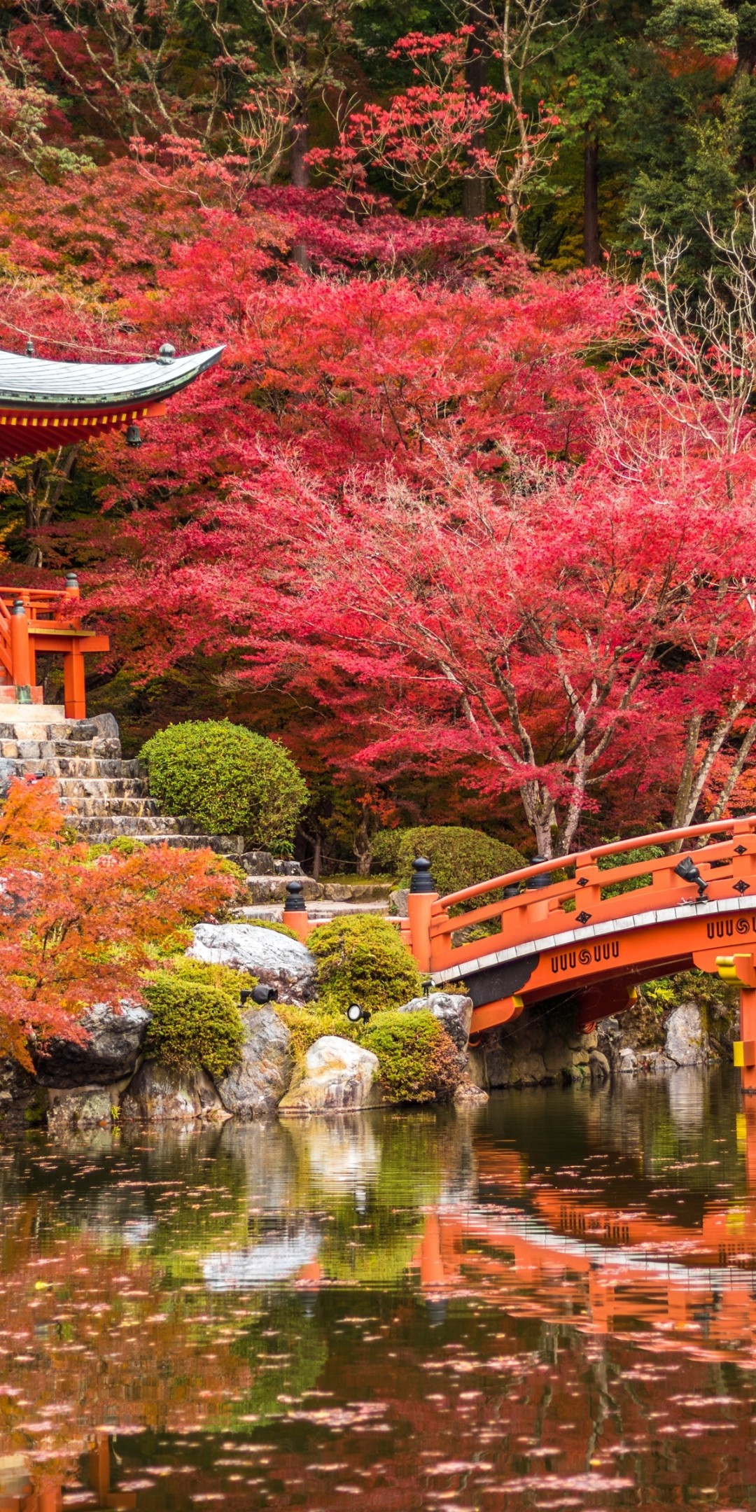 Download 1080x2160 Japan, Shrine, Pagoda, Bridge, Stream, Foliage, Park, Autumn Wallpaper for Huawei Mate 10