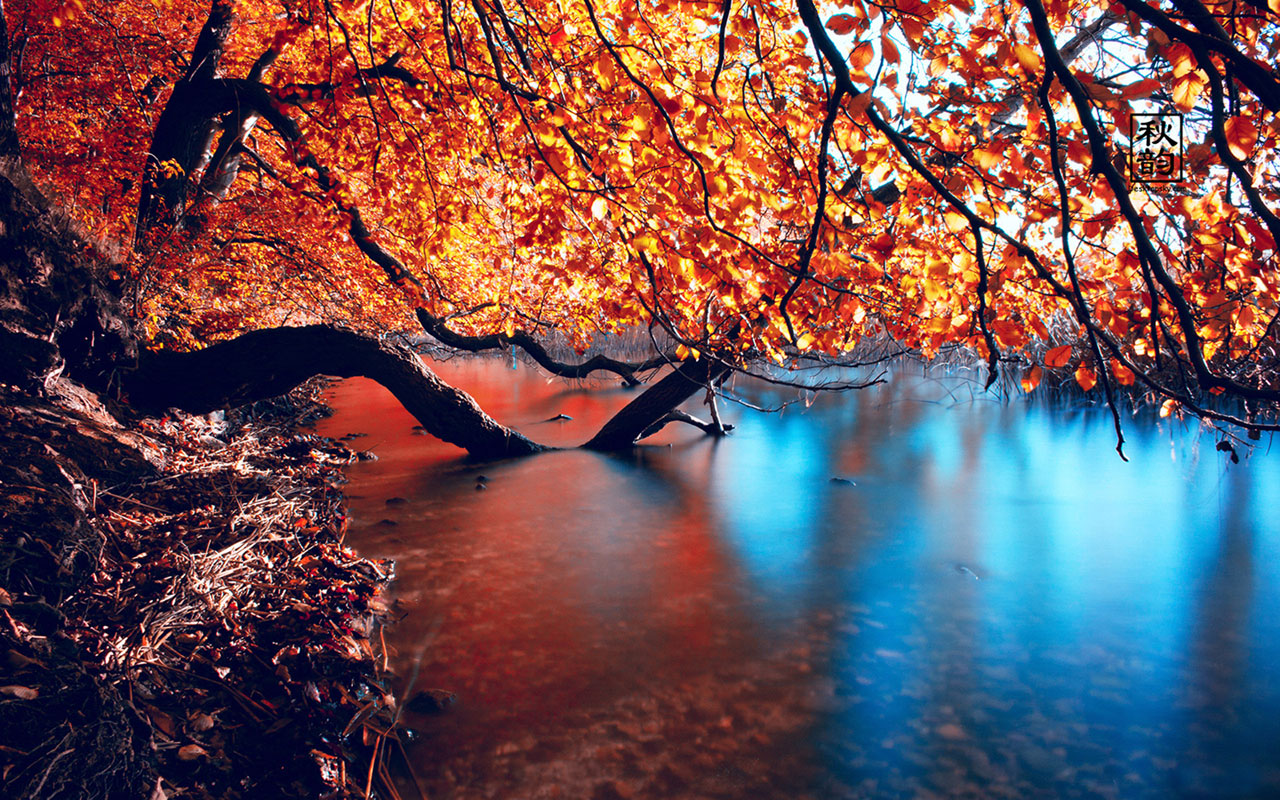 Free download WallpaperLate autumn seasonal lake views photography wallpaper 8 [1280x800] for your Desktop, Mobile & Tablet. Explore Free Seasonal Desktop Background. Free Wallpaper Background, Holiday Wallpaper For Desktop