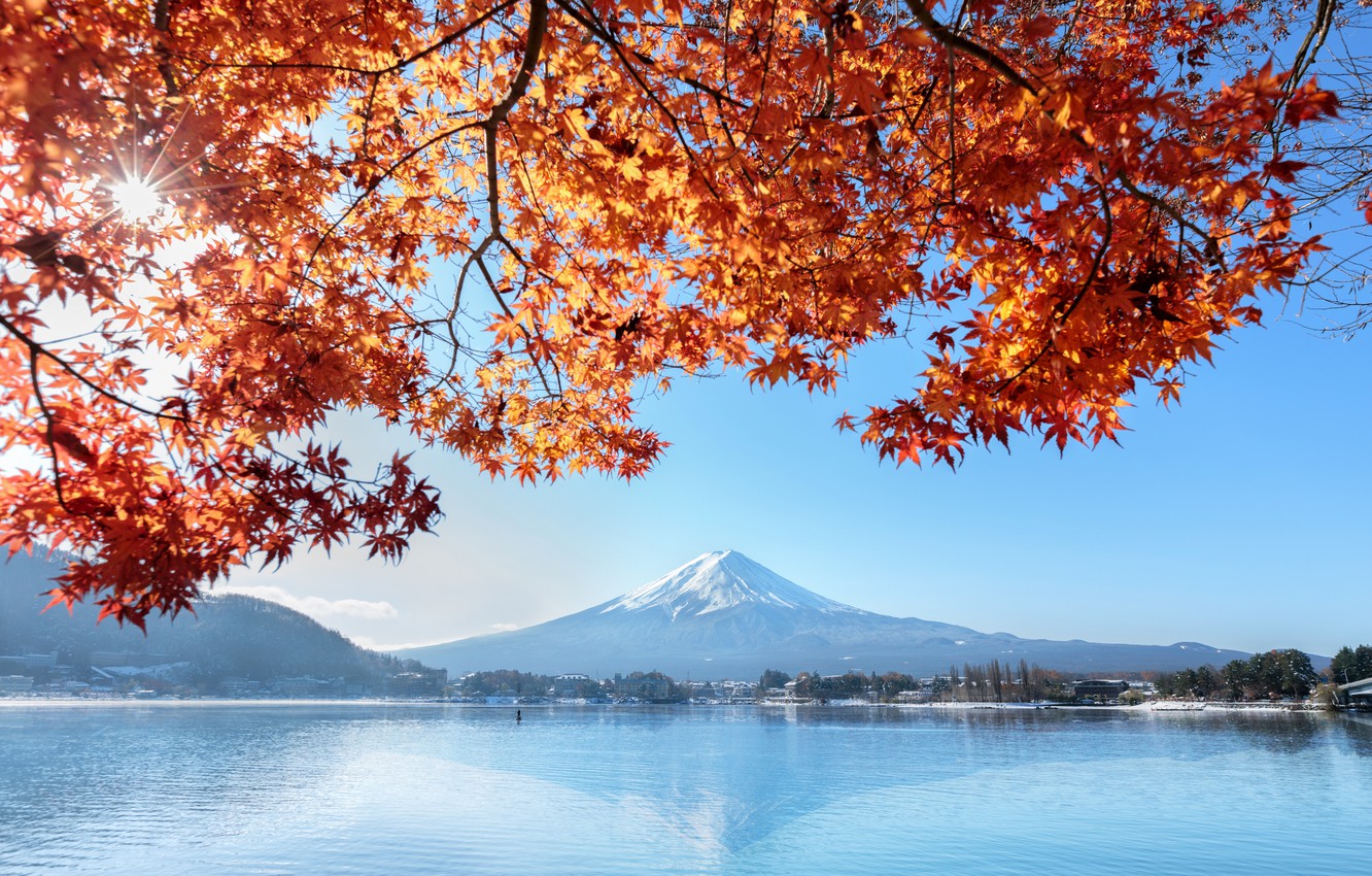 Wallpaper autumn, the sky, leaves, colorful, Japan, Japan, red, maple, mount Fuji, landscape, autumn, leaves, autumn, maple, Fuji Mountain image for desktop, section природа