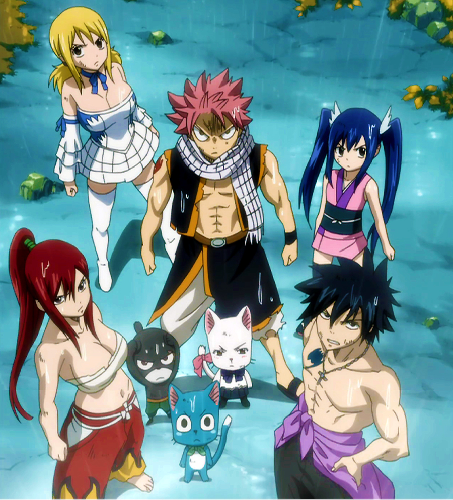 Fairy Tail Phone Wallpaper
 Fairy Tail Phone Wallpapers Wallpaper Cave