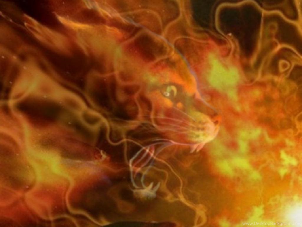 Warrior Cats Wallpaper Firestar Desktop Background