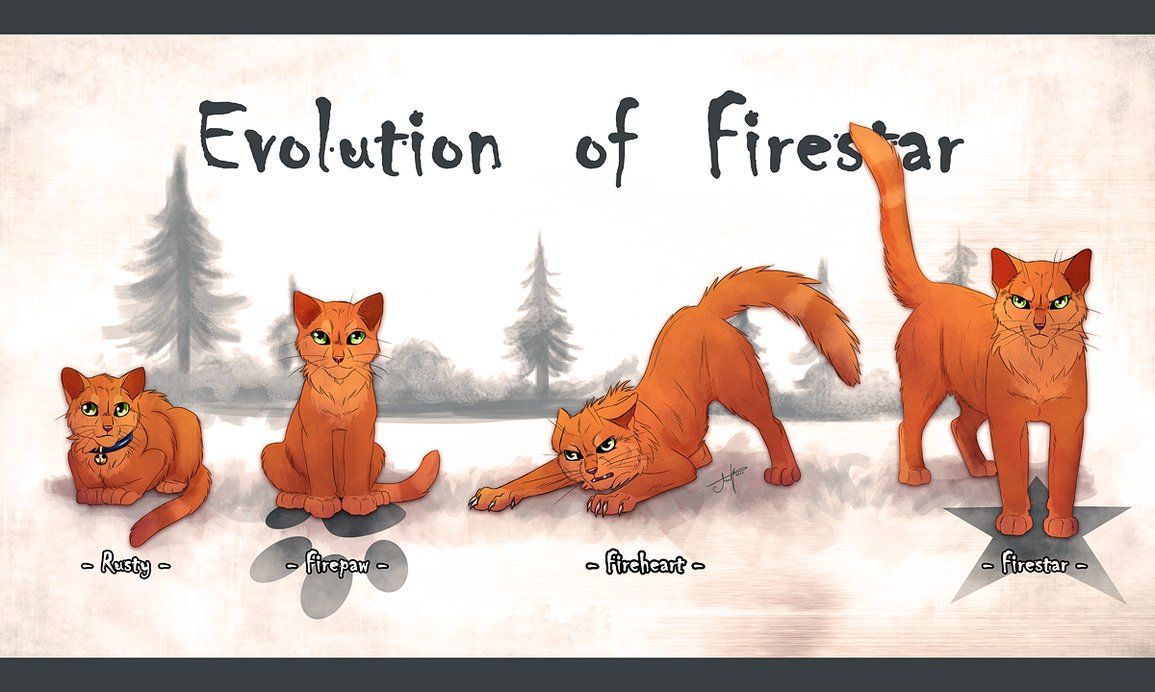 Evolution Of Firestar. Warrior cats funny, Warrior cat memes, Warrior cats comics