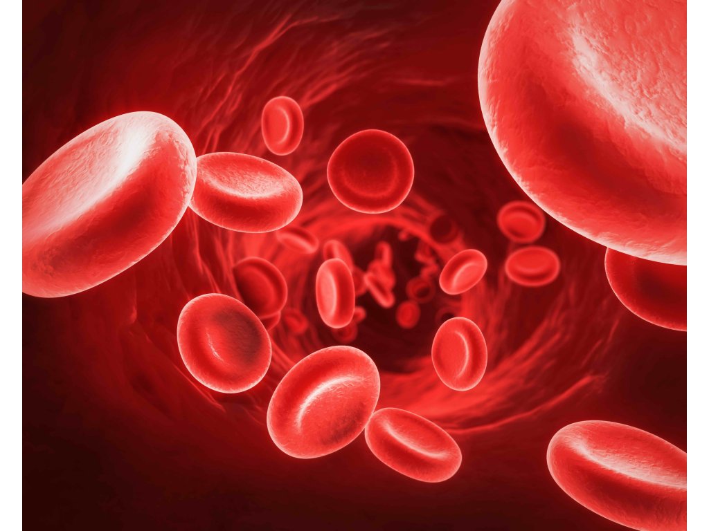 Red Blood Cells Wallpapers Wallpaper Cave