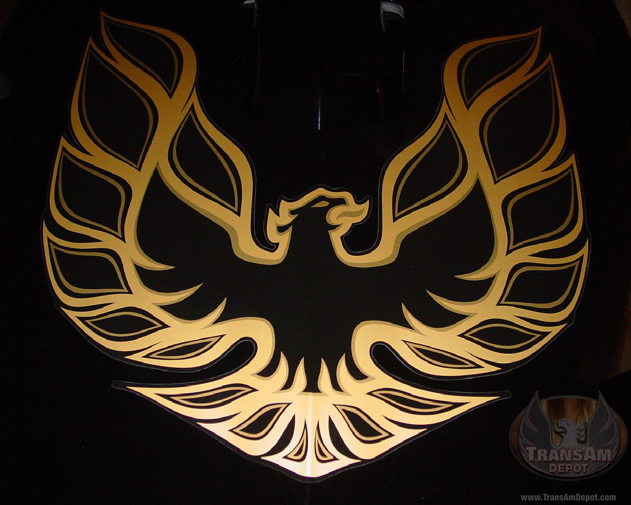 Free download Phoenix Bird 23 Desktop Background Hivewallpapercom [1280x1024] for your Desktop, Mobile & Tablet. Explore Fire Bird Wallpaper. Fire Bird Wallpaper, Bird Wallpaper, Wallpaper Bird