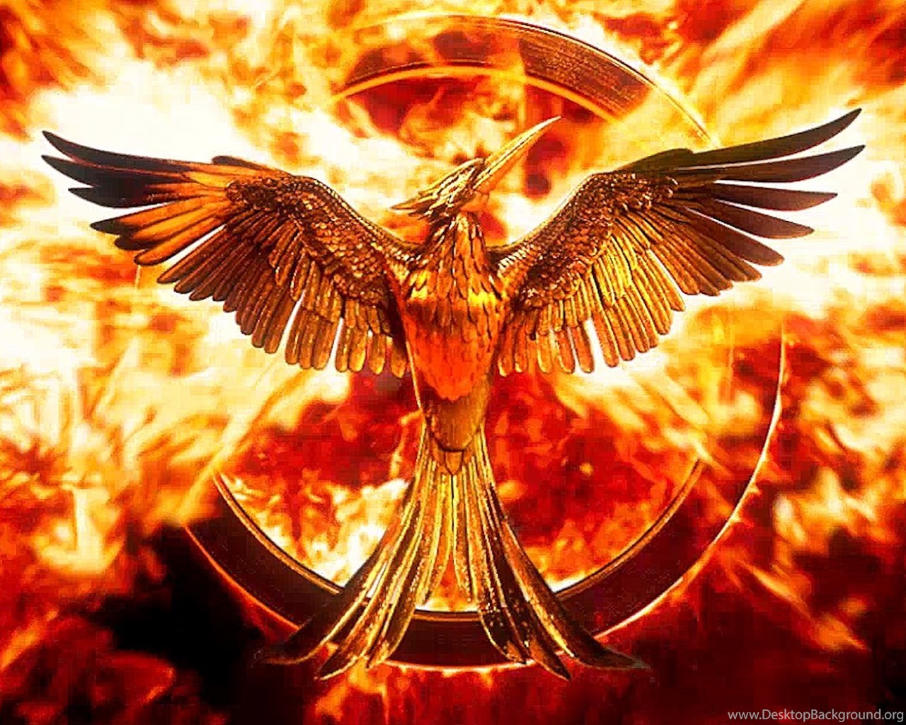 Full HD Wallpaper The Hunger Games Bird Logo Explosion, Desktop. Desktop Background