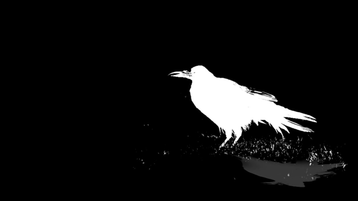 Bird Logo Wallpapers - Wallpaper Cave