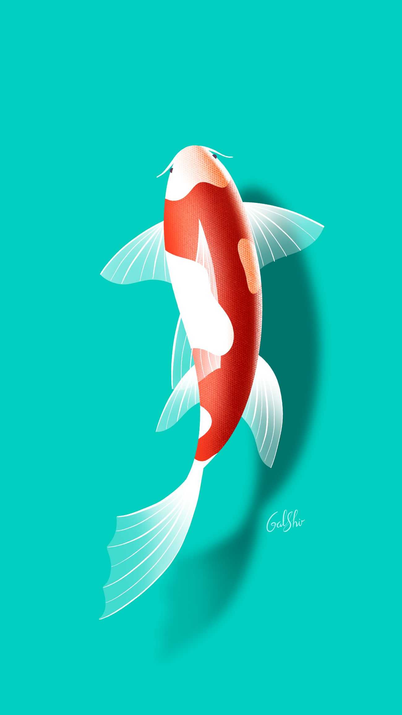 Koi Fish Wallpaper Free HD Wallpaper