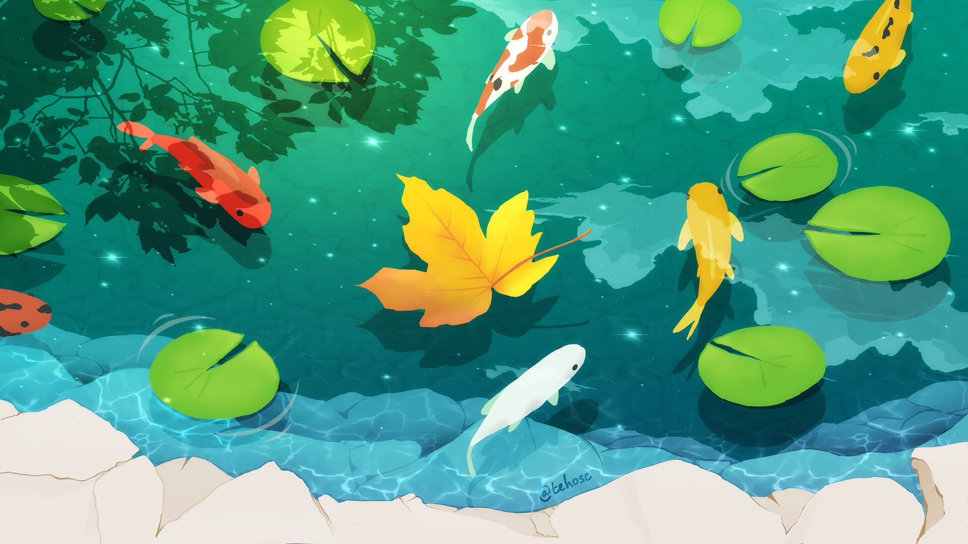 Koi Fishes: wallpaper
