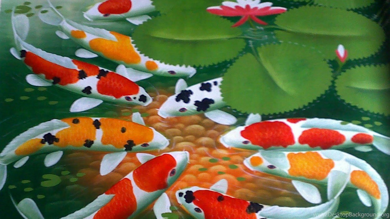 Koi Fish Wallpaper Desktop Background