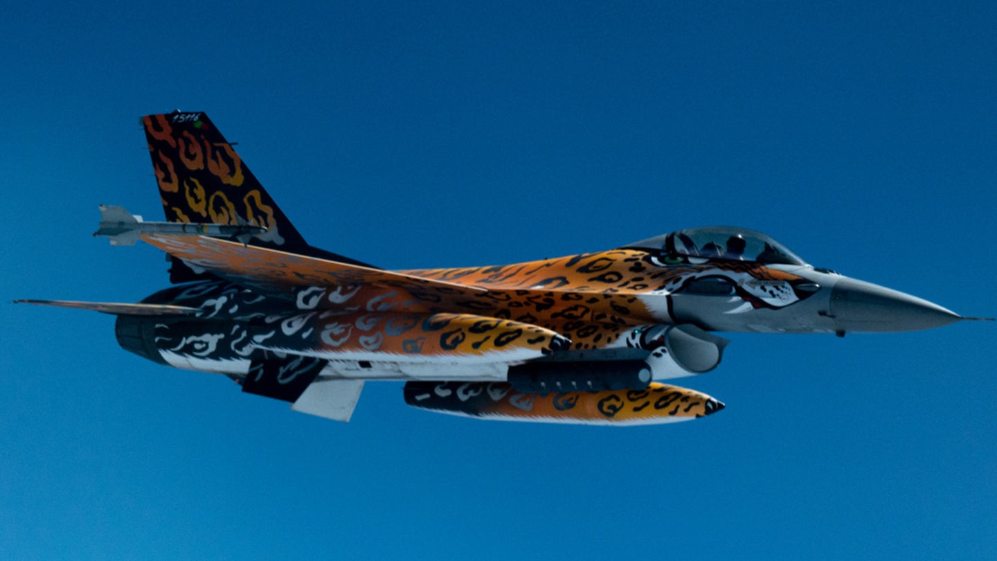 Why Portugal Paints F 16 Fighter Jets To Look Like Tigers