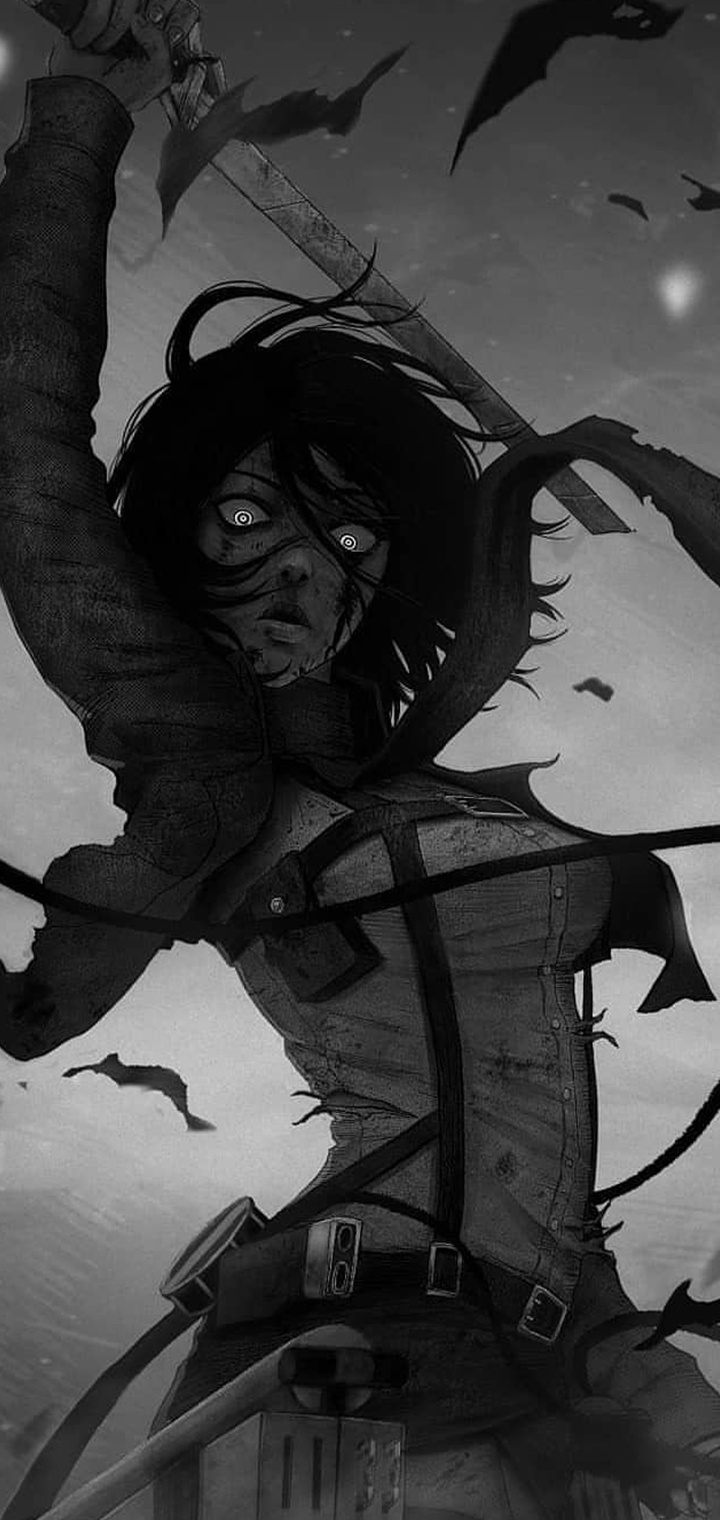 Shingeki no Kyojin. Mobile Wallpaper (720x1520)