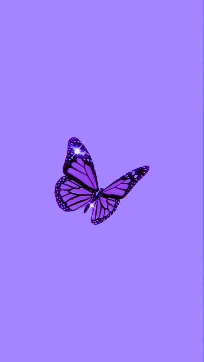 iPhone background. Purple butterfly wallpaper, Butterfly wallpaper iphone, Purple wallpaper phone