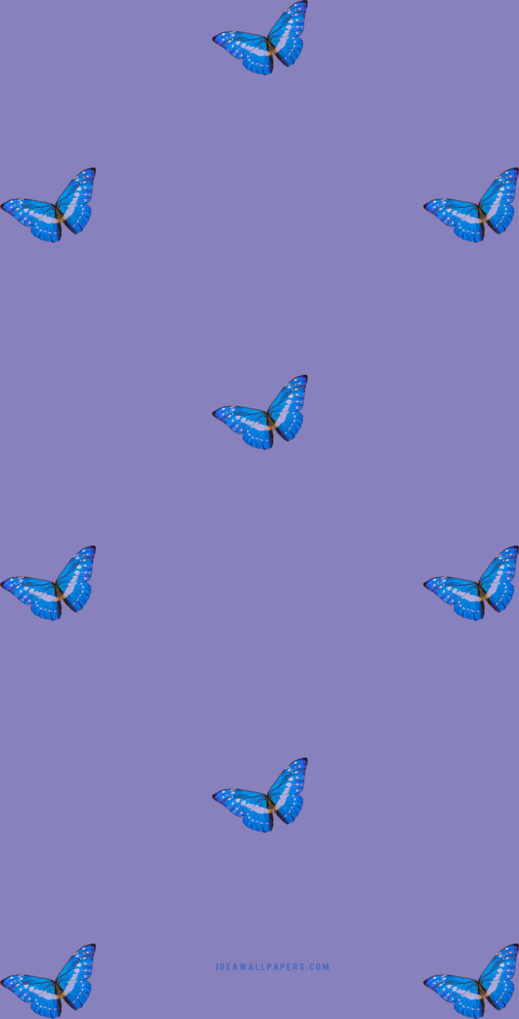 Blue butterflies on purple background for phones Wallpaper