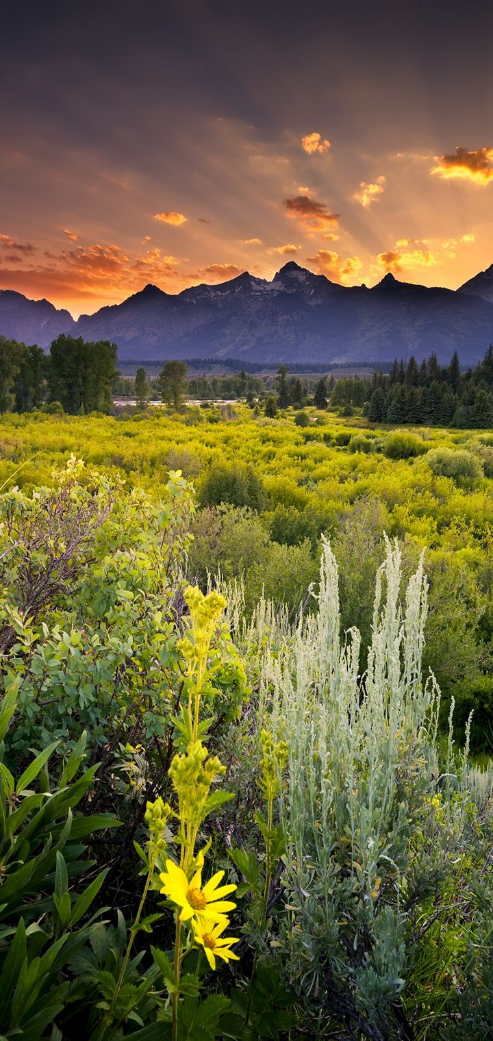 Grand Teton National Park Sunset Clouds Wallpaper - [720x1520]