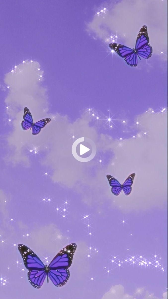 iPhone Purple Butterfly Wallpapers - Wallpaper Cave
