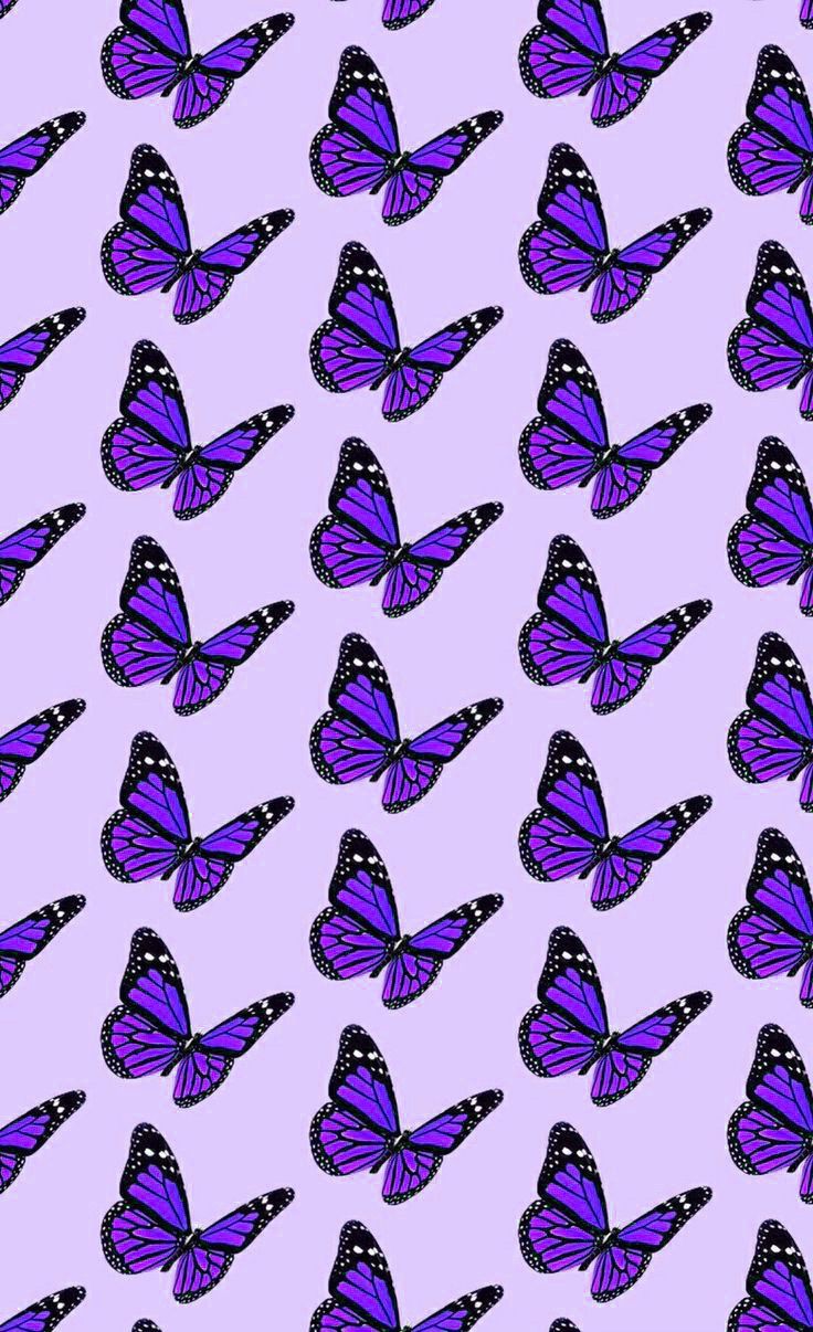 butterfly wallpaper. Butterfly wallpaper, Aesthetic iphone wallpaper, Purple wallpaper iphone