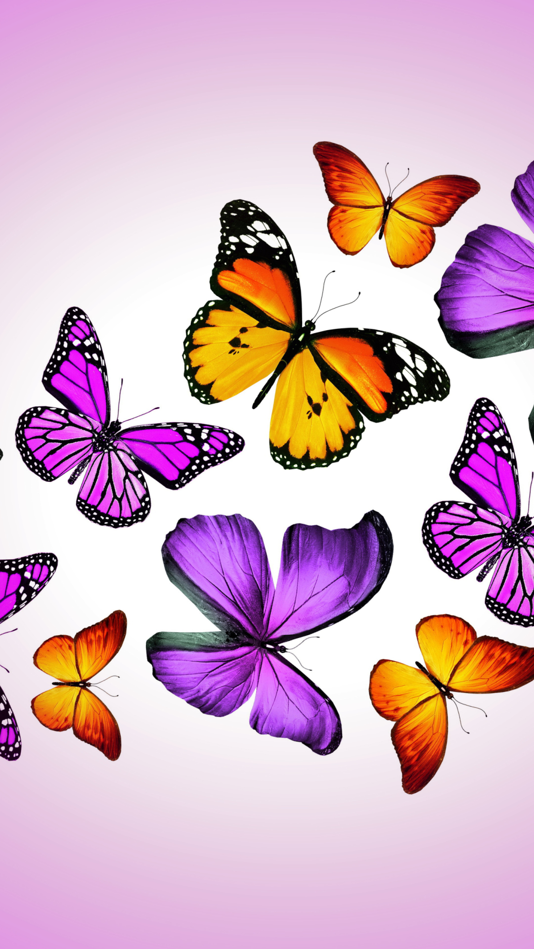 Orange And Purple Butterflies Wallpaper for iPhone 8 Plus