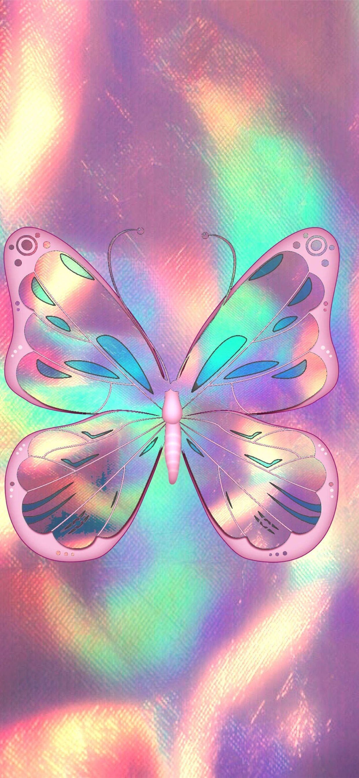 Butterfly HD iPhone X Wallpaper Free Download