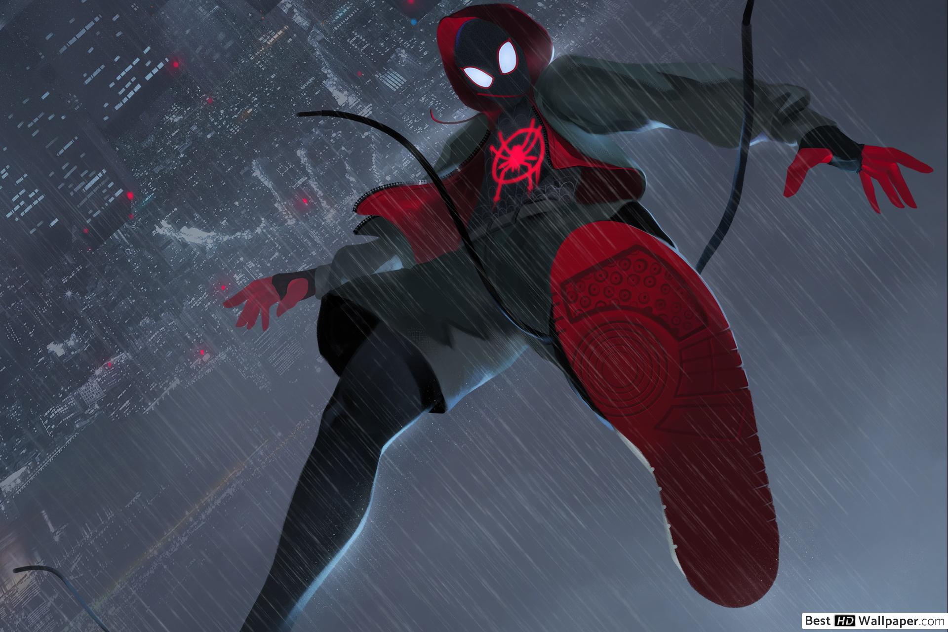 Spider Man: Into The Spider Verse Man HD Wallpaper Download