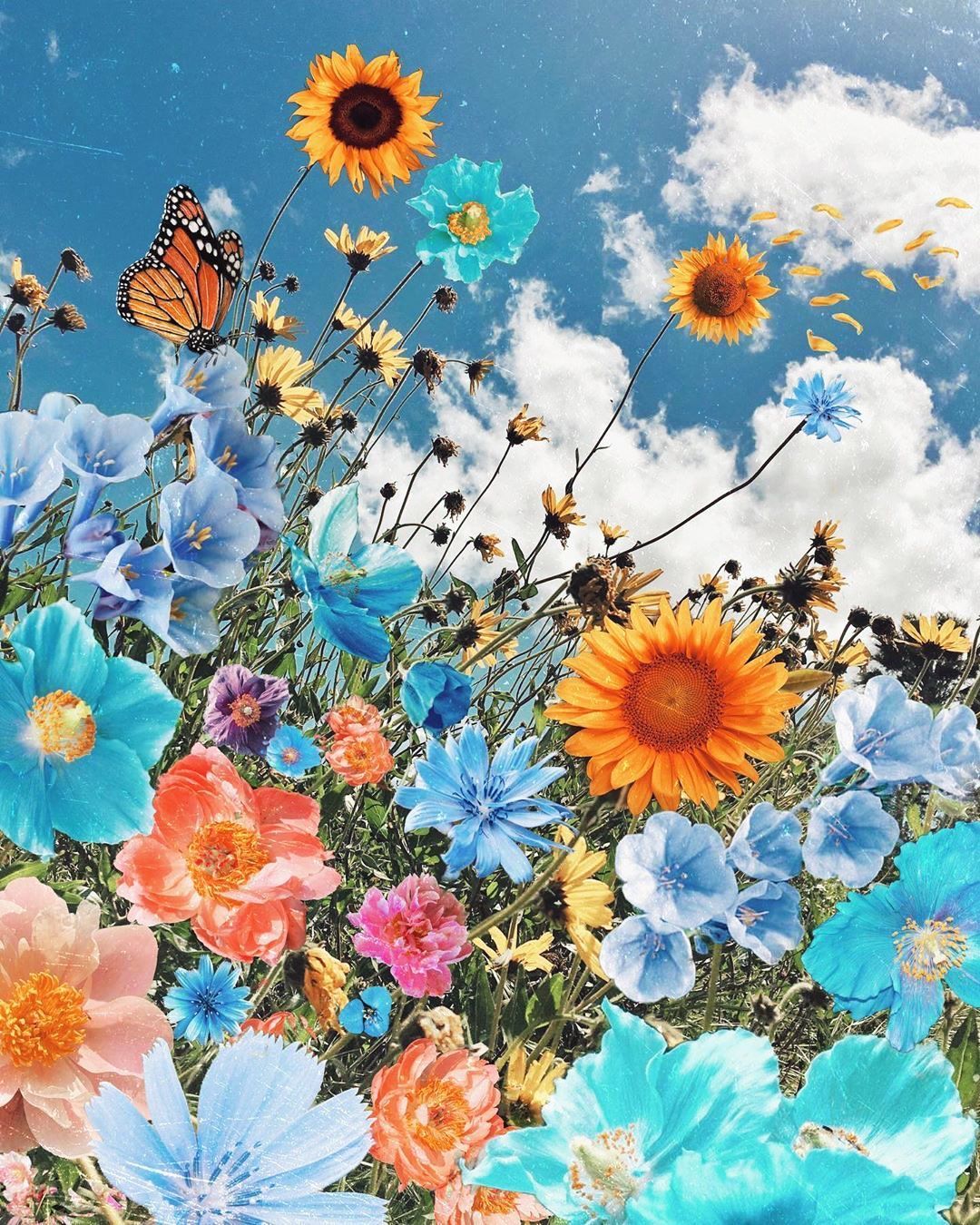 Flowers And Butterfly Aesthetic Wallpapers - Wallpaper Cave