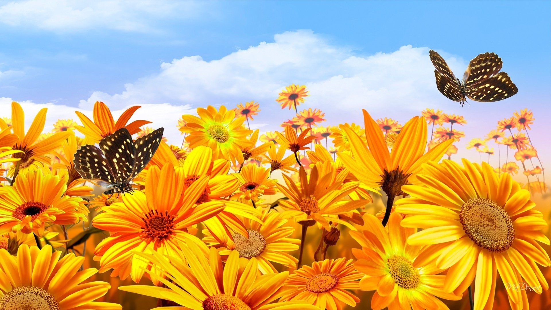 Sunflowers and Butterflies Wallpaper