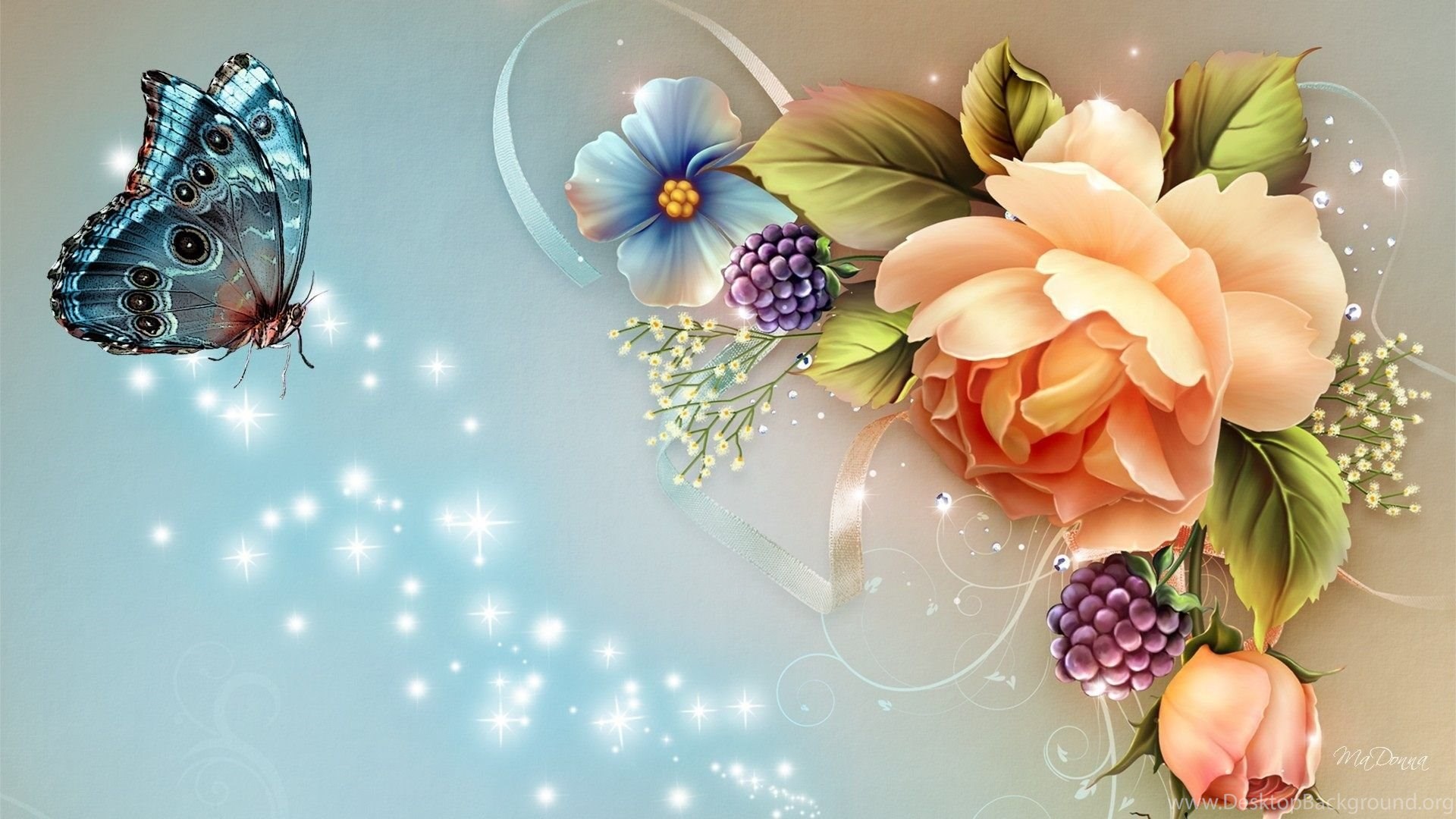 Flowers and butterfly aesthetic wallpapers wallpaper cave
