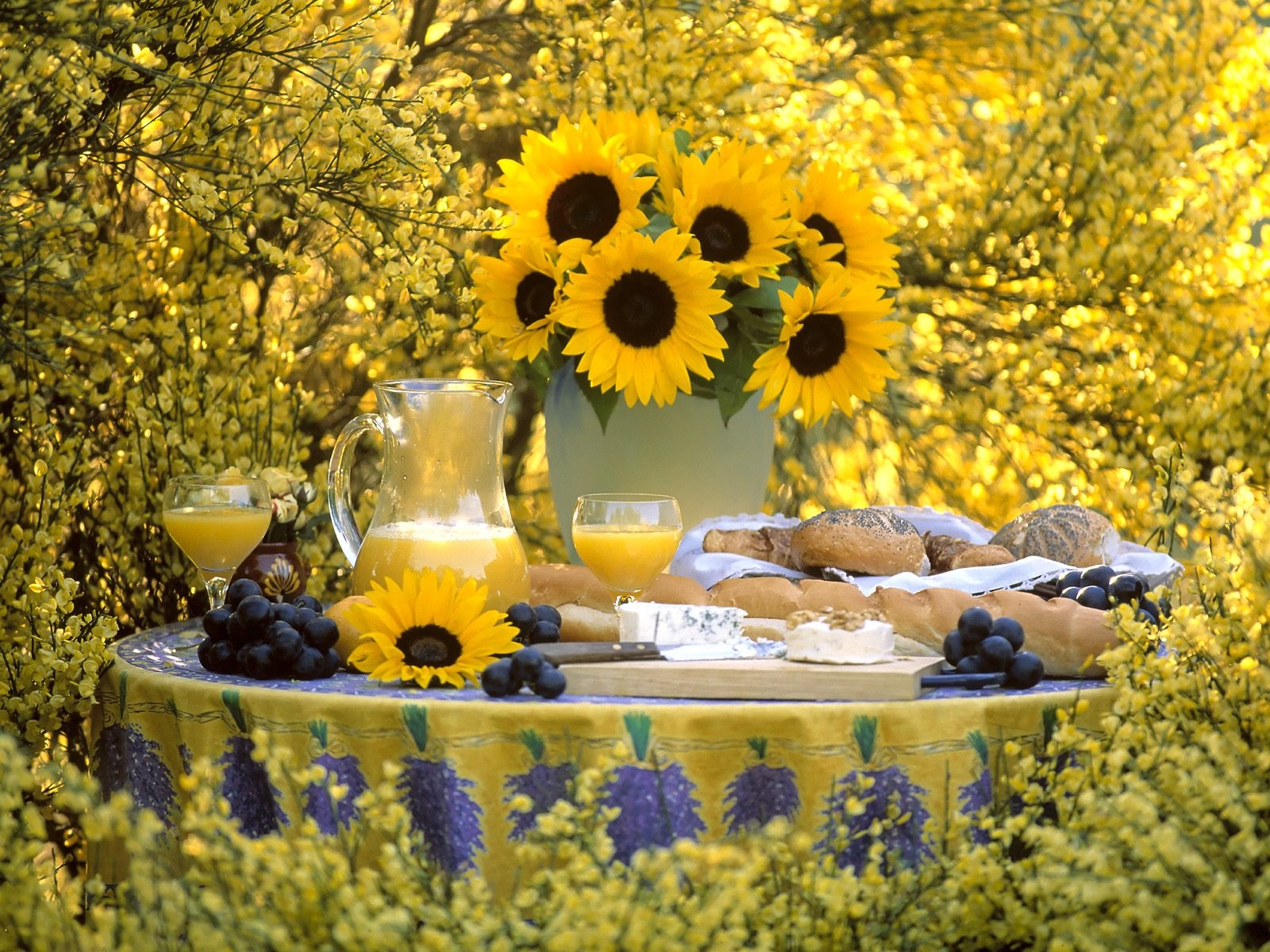 Wallpaper, garden, table, yellow, grapes, sunflowers, autumn, beauty, season, sunflower, flora, bouquet, vase, botany, land plant, floristry, daisy family, flower arranging, floral design, biscuits, pitcher 1600x1200