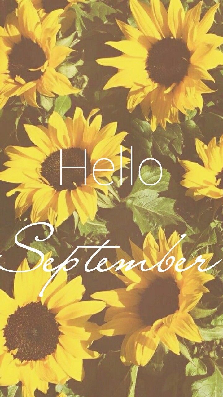 september wallpaper. September wallpaper, Fall wallpaper, Sunflower wallpaper