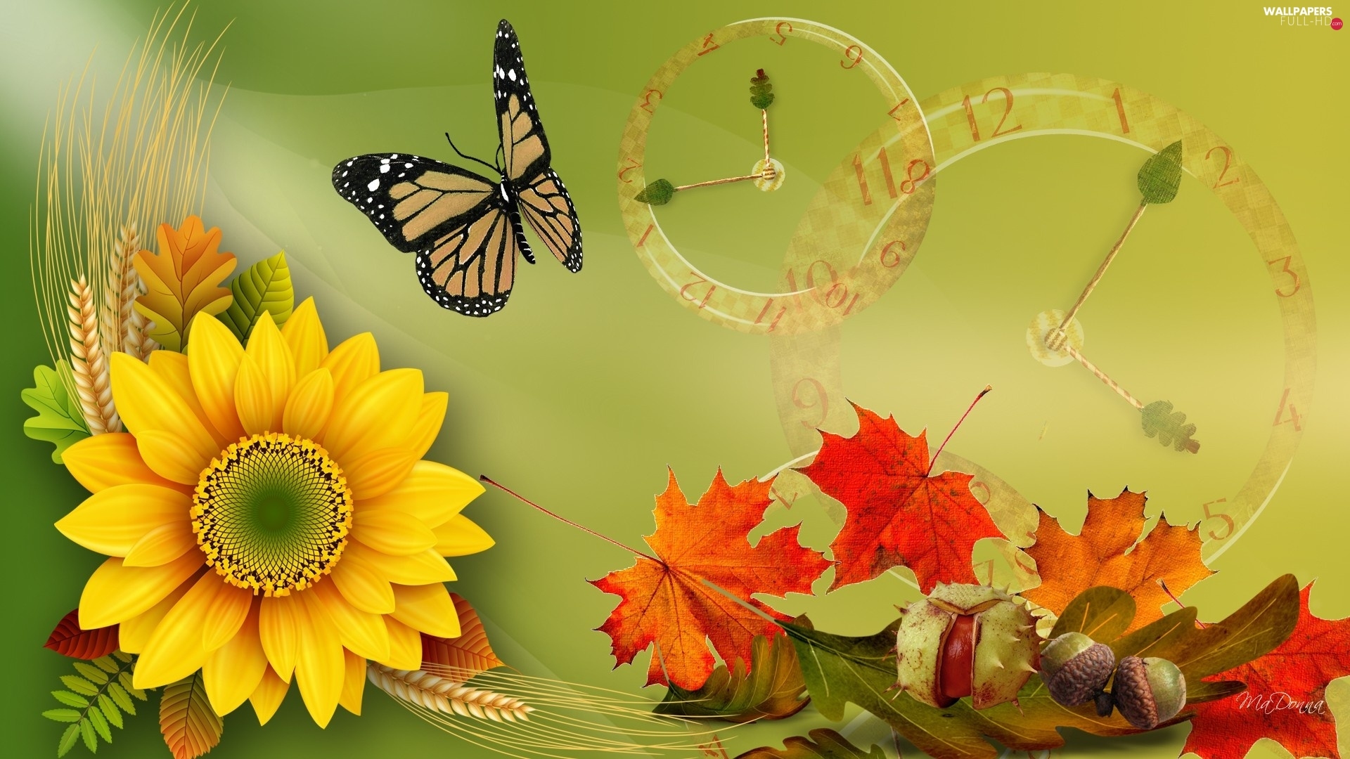 autumn, butterfly, Sunflower, graphics, Leaf HD Wallpaper: 1920x1080