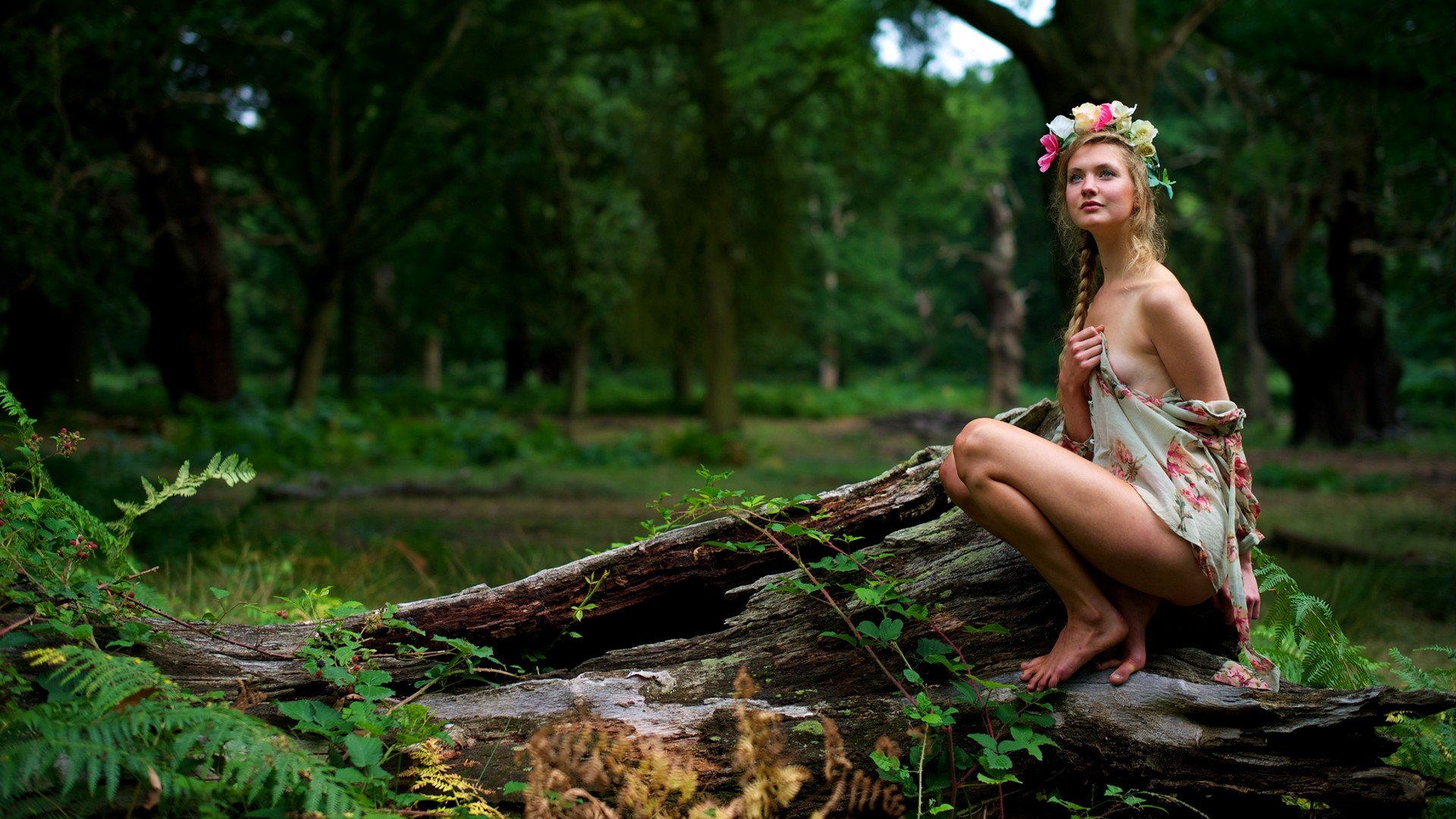 Dryad HD wallpaper